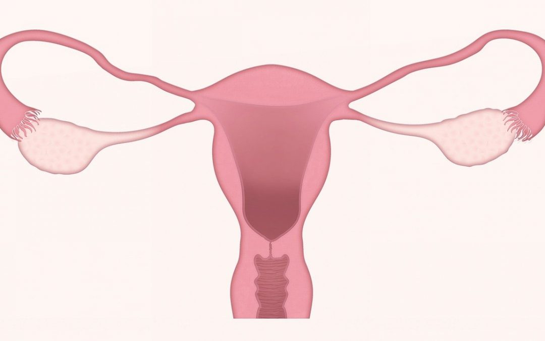 Sterilizzazione femminile in Lombardia (Milano, Melegnano, Lodi, Como)